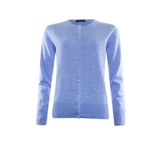 Roberto Sarto dameskleding truien & vesten - vest. beschikbaar in maat  (blauw)