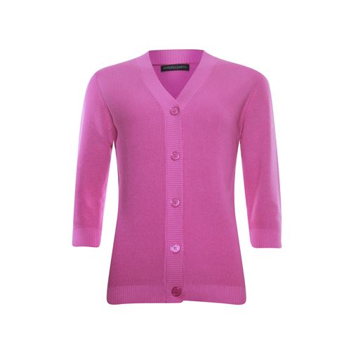 Roberto Sarto dameskleding truien & vesten - vest met v-hals en korte mouwen. beschikbaar in maat 38,40,44,46,48 (roze)