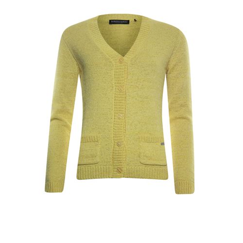 Roberto Sarto dameskleding truien & vesten - vest met v-hals. beschikbaar in maat 38,40,48 (geel)