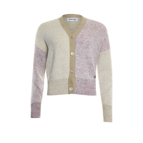 Anotherwoman ladieswear pullovers & vests - cardigan with v-neck. available in size 36,38,40,42,44,46 (multicolor)