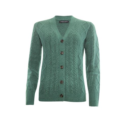 Roberto Sarto dameskleding truien & vesten - vest v-hals. beschikbaar in maat 40,44,46 (groen)