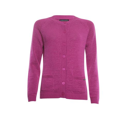 Roberto Sarto dameskleding truien & vesten - vest ronde hals. beschikbaar in maat 42 (roze)