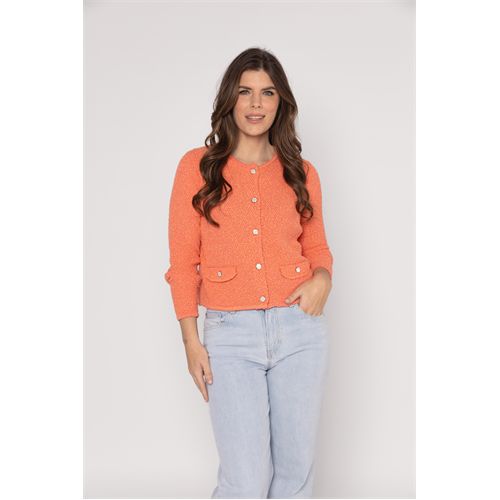 Roberto Sarto dameskleding truien & vesten - vest ronde hals. beschikbaar in maat  (roze)