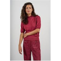 T257 (red) T257